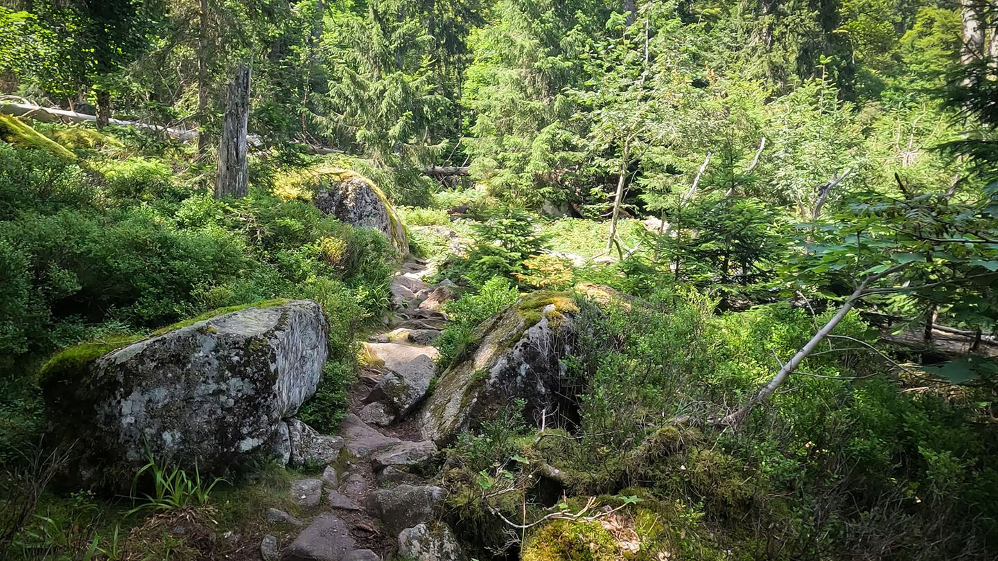 ein malerischer Felsenpfad führt zu den Hirschsteinen Felsenpfad zu den Hirschsteinen