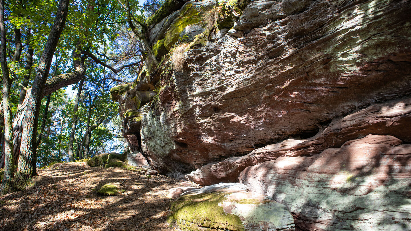 Buntsandsteinriff am Kahlenberg im Dahner Felsenland.