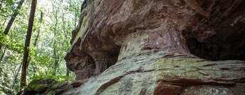 Der grottendurchzogene Buntsandsteinfels am Kahlenberg.