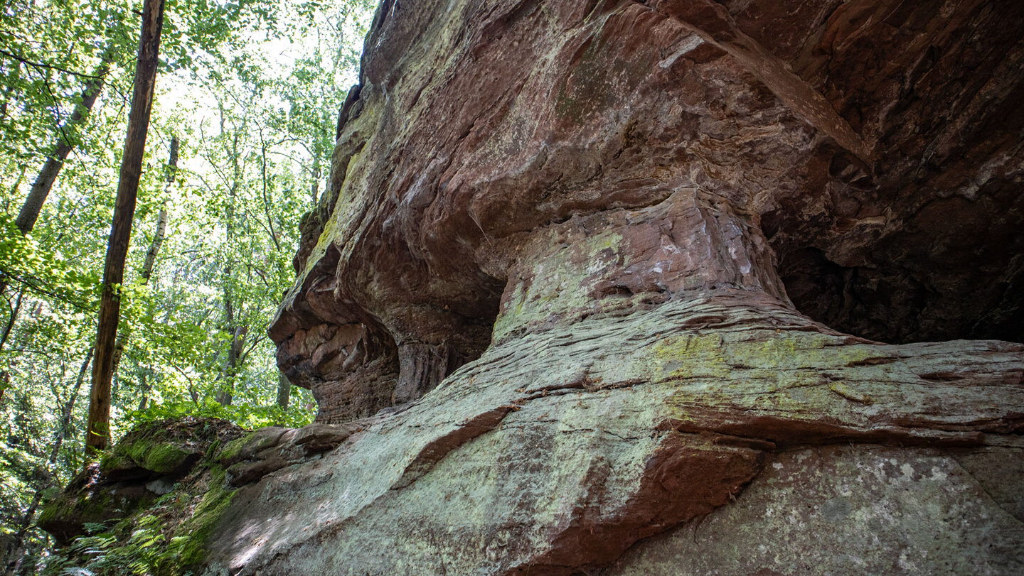 Der grottendurchzogene Buntsandsteinfels am Kahlenberg.