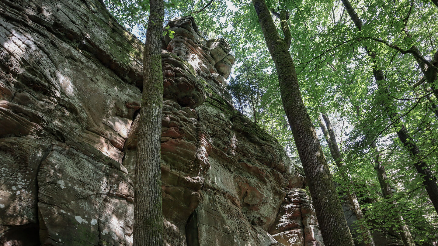Der Schafsfelsen, ein markantes Buntsandsteinmassiv bei Erfweiler im Dahner Felsenland.