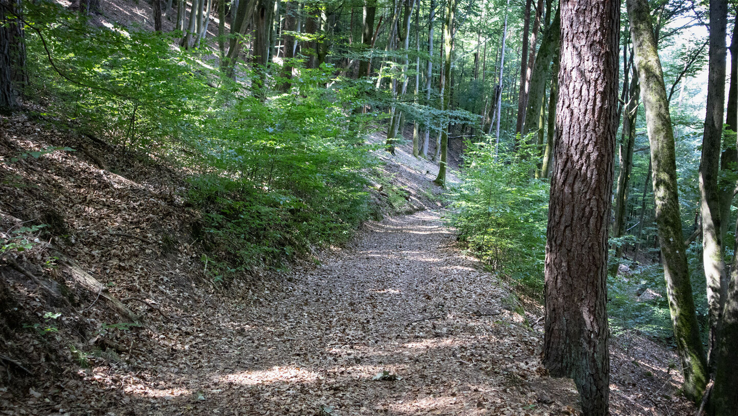 Idyllischer Waldwanderweg am Kahlenberg im Dahner Felsenland.