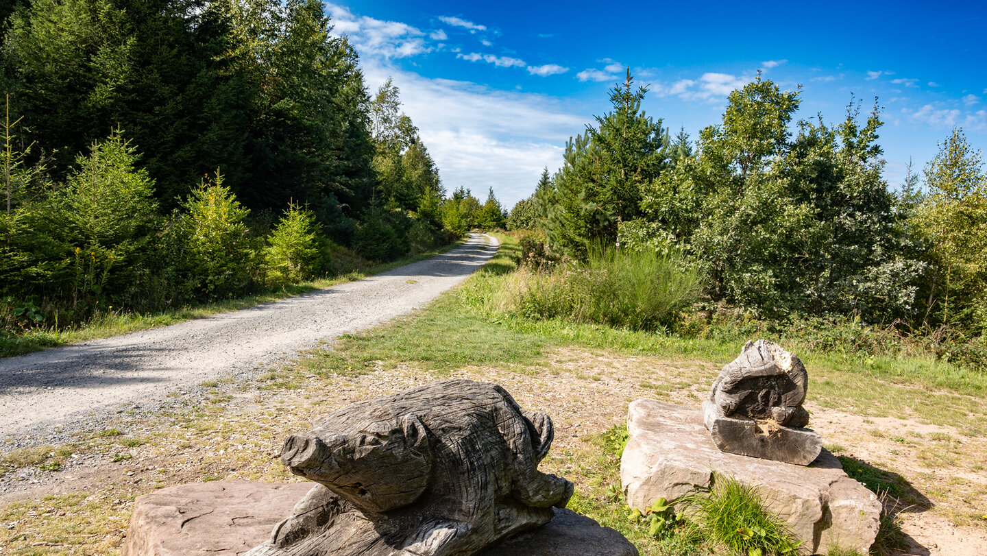 Hahnefalzweg auf dem Albtal.Abenteuer Track