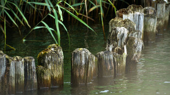 Pfähle im Wasser