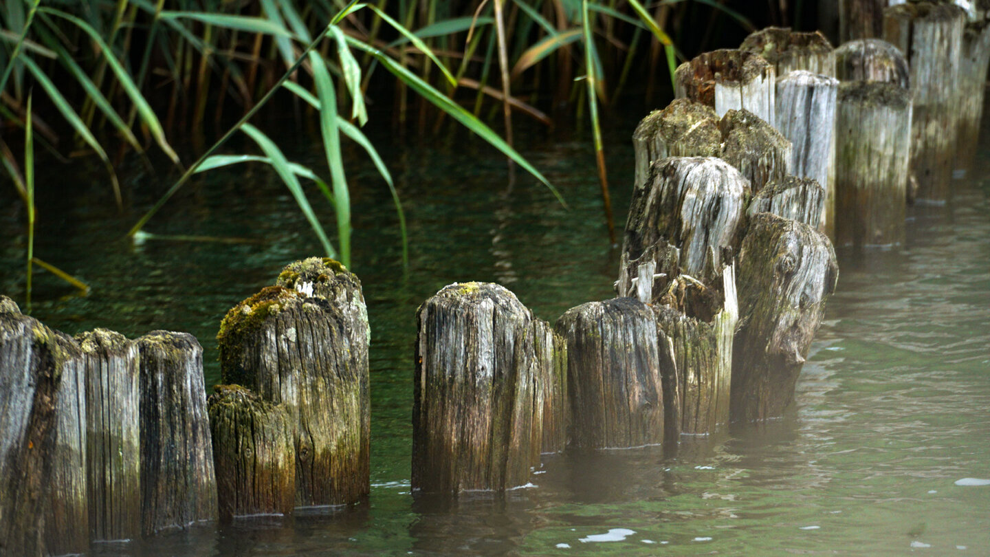 Pfähle im Wasser