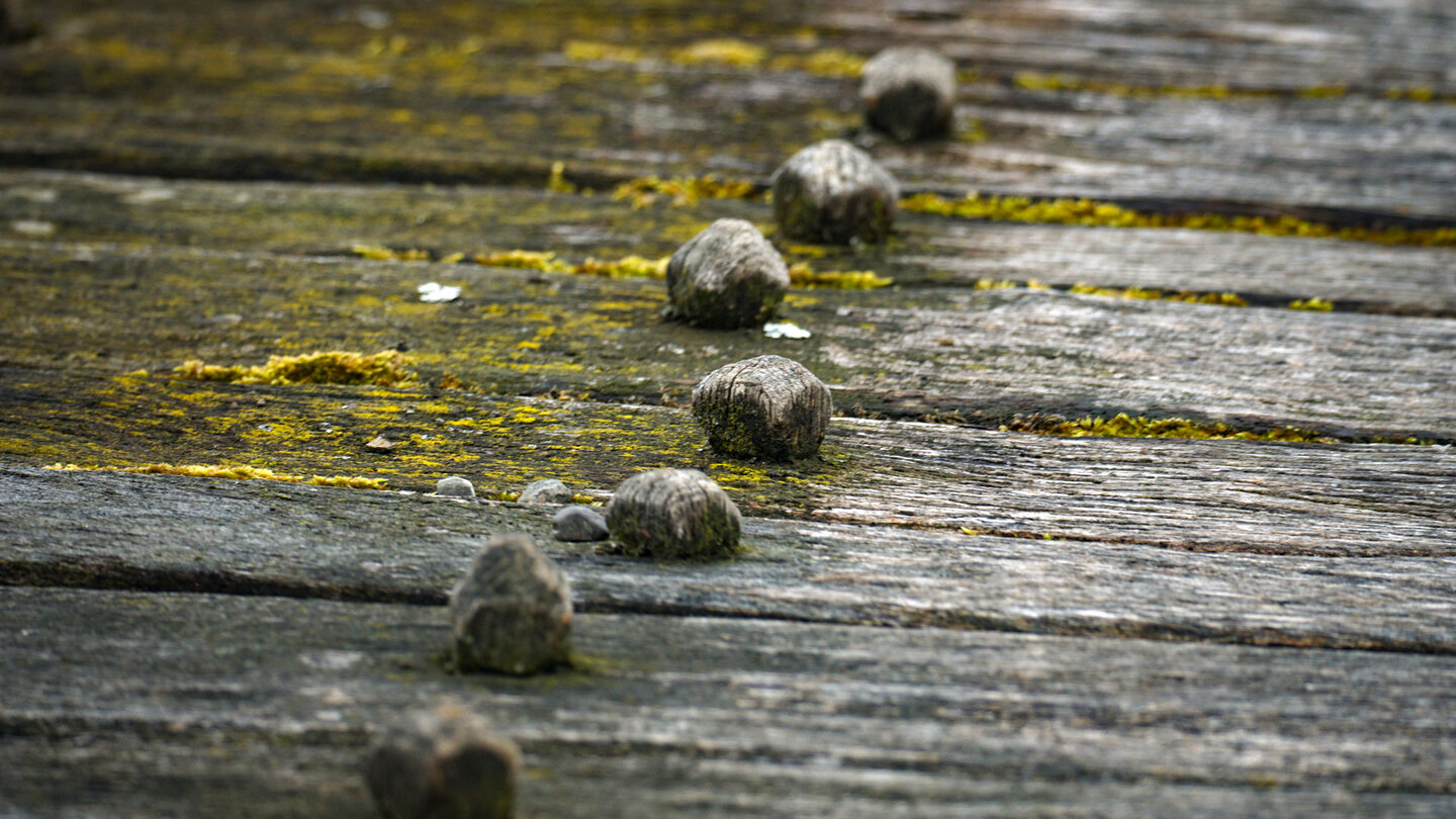 Holznägel halten die Planken auf den Stegen im Pfahlbaumuseum