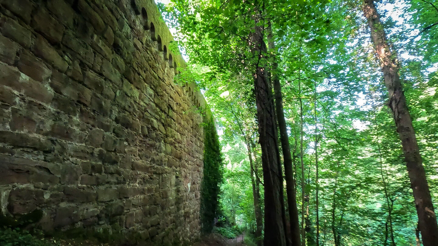 Die Mauern der Burganlage des Schloss Zwingenberg am Wanderweg Wolfsschlucht
