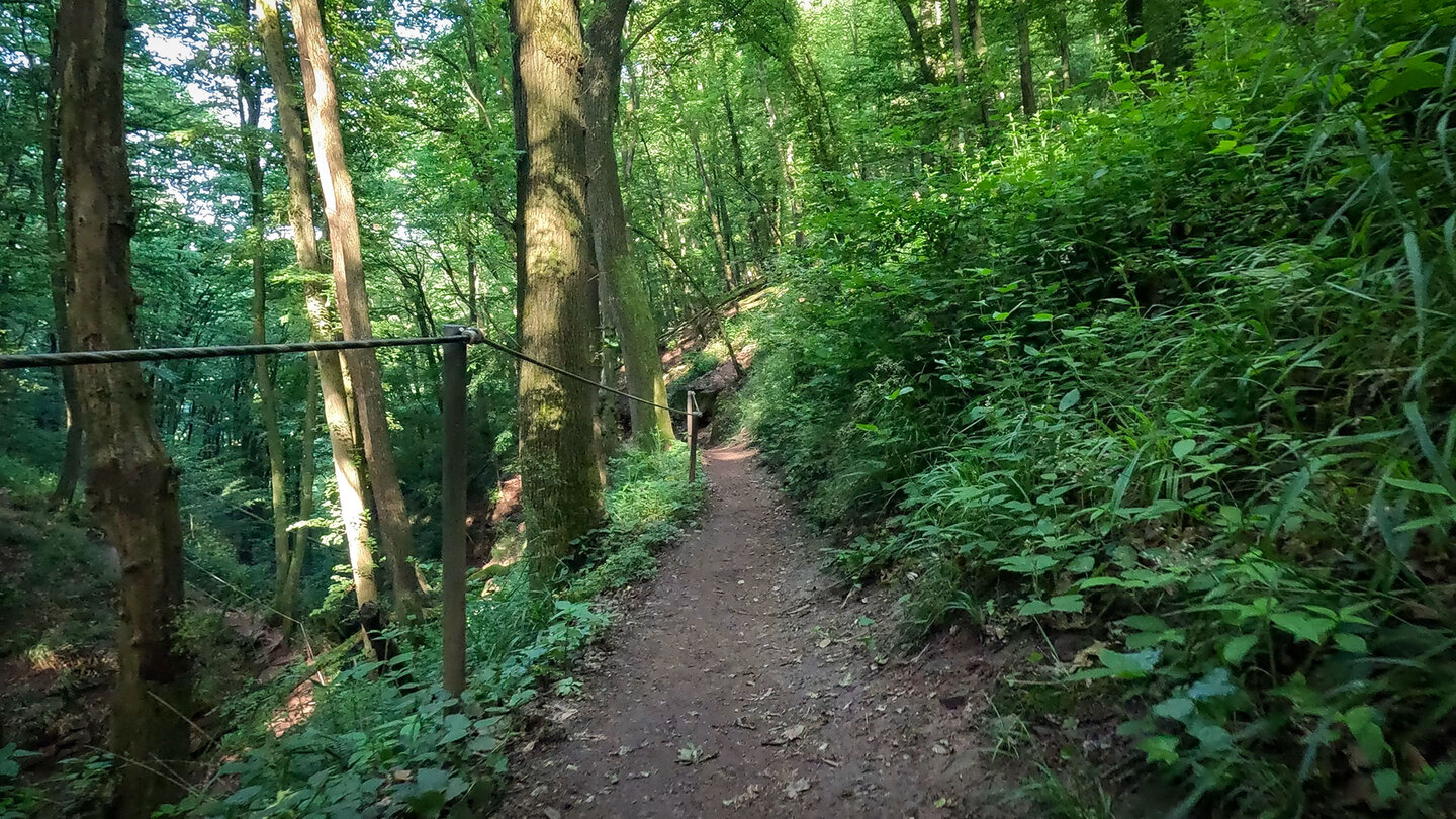 Mit Geländern gesicherter Margarethenschlucht Pfad