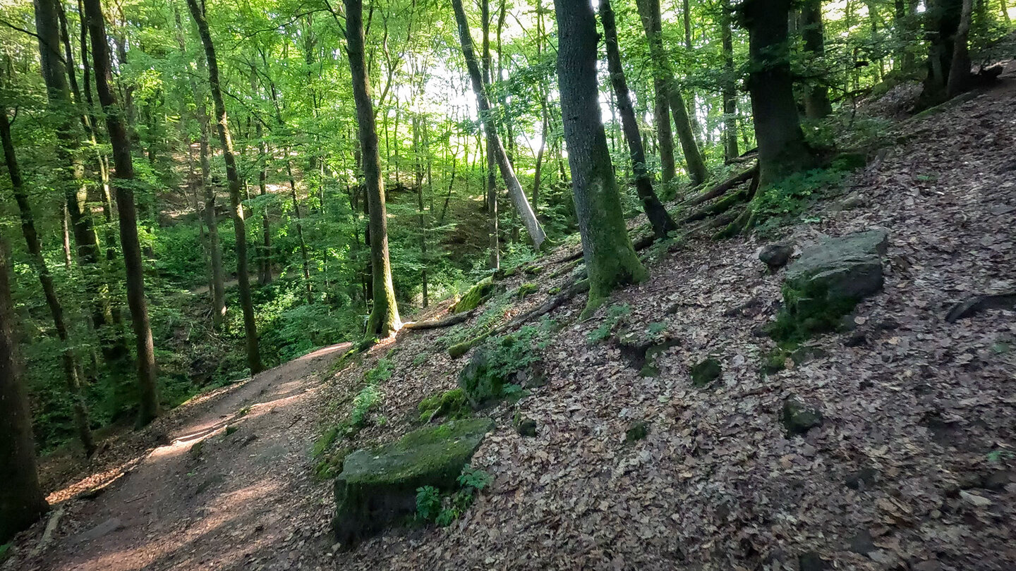 Am oberen Ende der Margarethenschlucht