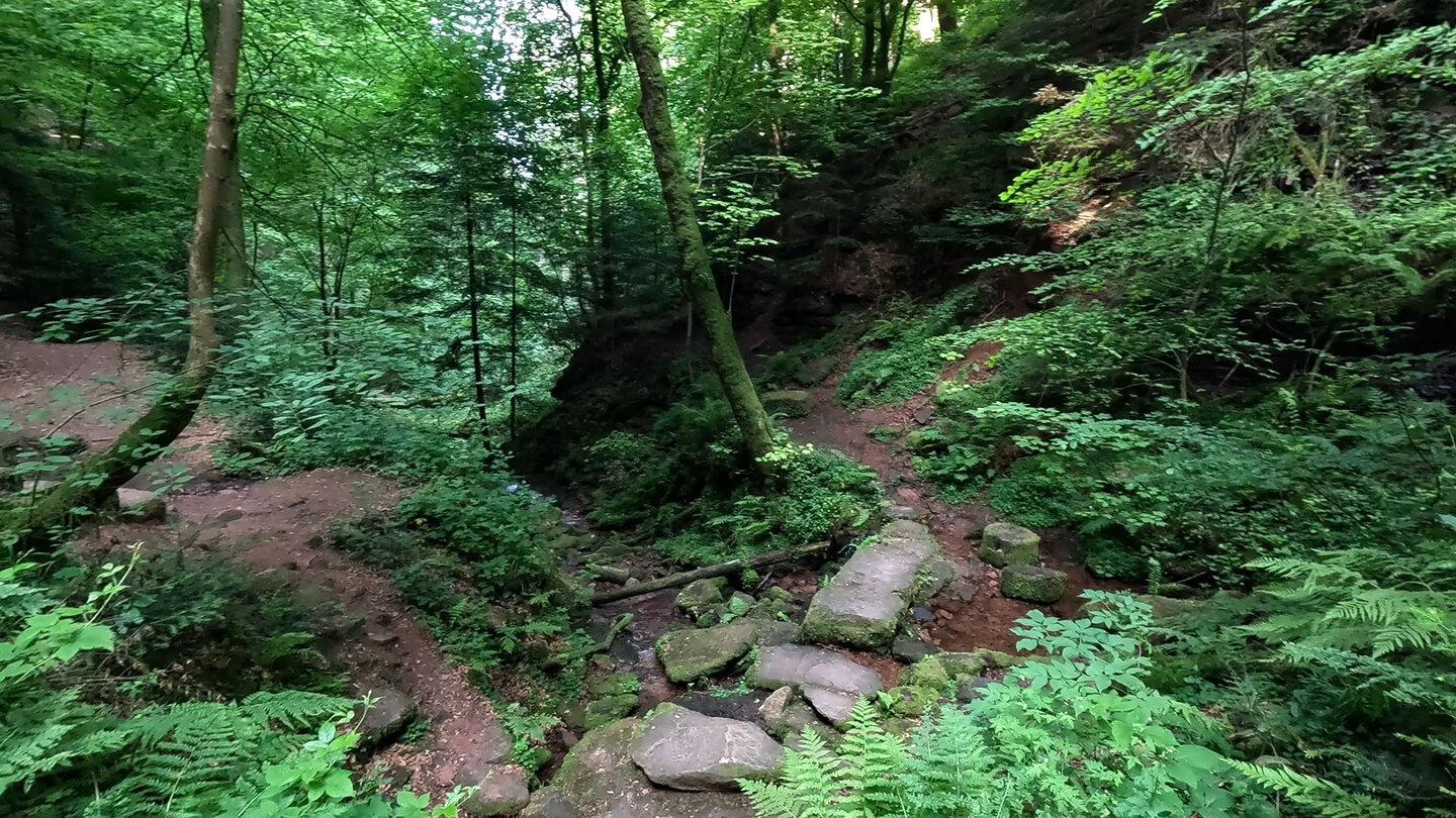 Bachquerung der Wolfsschlucht
