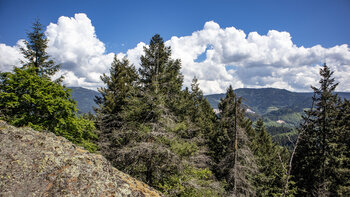 Blick vom Sesselfelsen zur Hornisgrinde im Nordschwarzwald