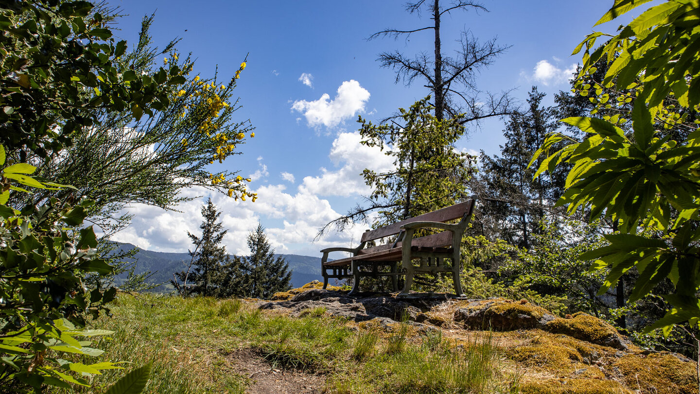 Aussichtsbank auf dem Sesselfelsen