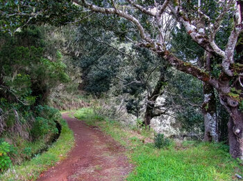 Wasserkanal Levada do Pico Ruivo auf Madeira