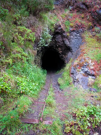Pico-Ruivo-Tunnel mit Schienen einer alten Lorenbahn