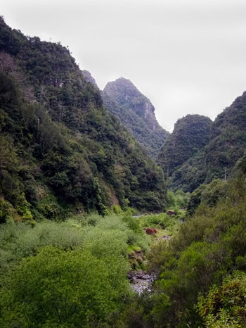 Wanderung im Metade-Tal auf Madeira