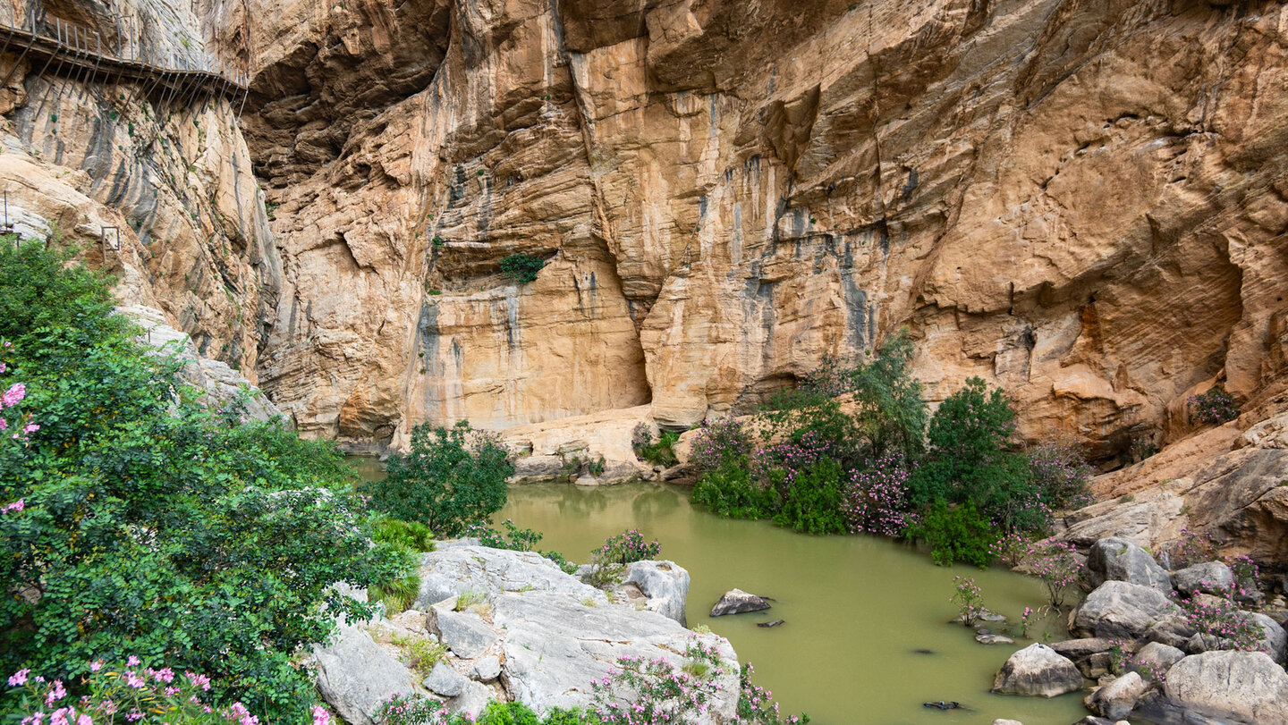 Schlucht des Río Guadalhorce