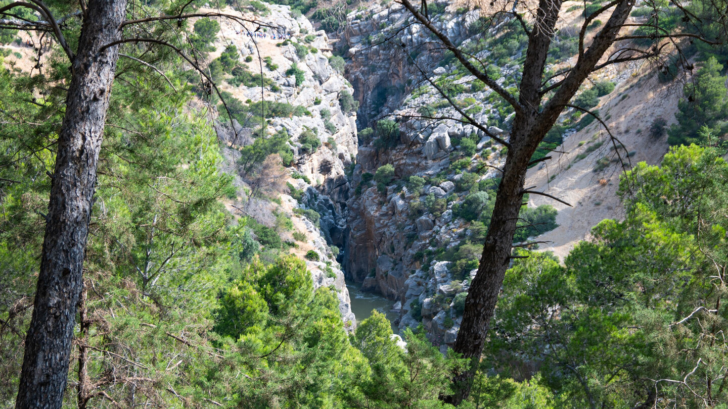 Felsschlucht am Río Guadalhorce