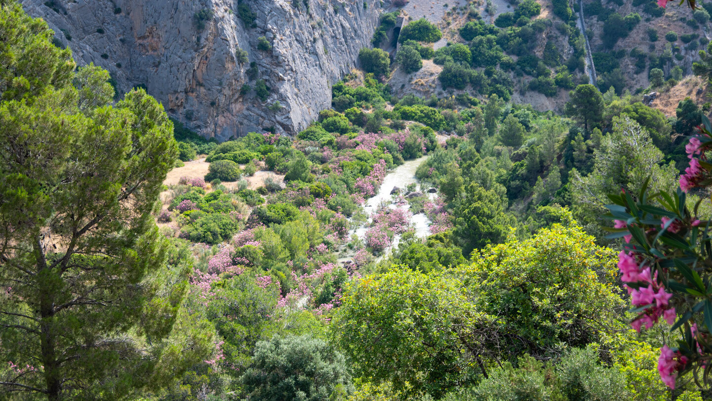 Flusslauf des Río Guadalhorce