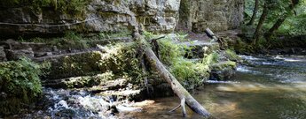 mit Stahlseilen gesicherter Weg am Wutachaustritt