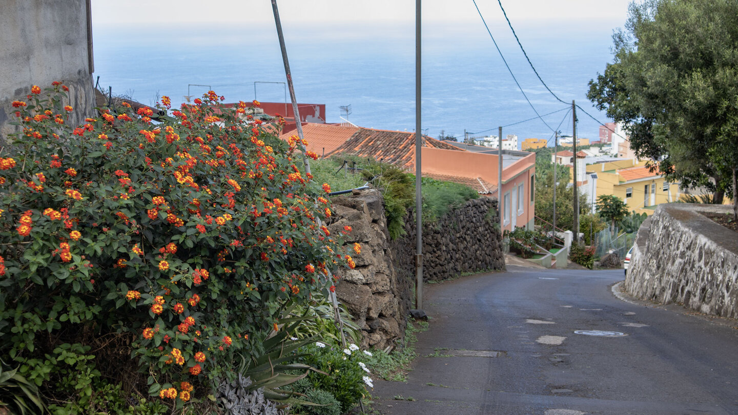 Los Sauces auf La Palma