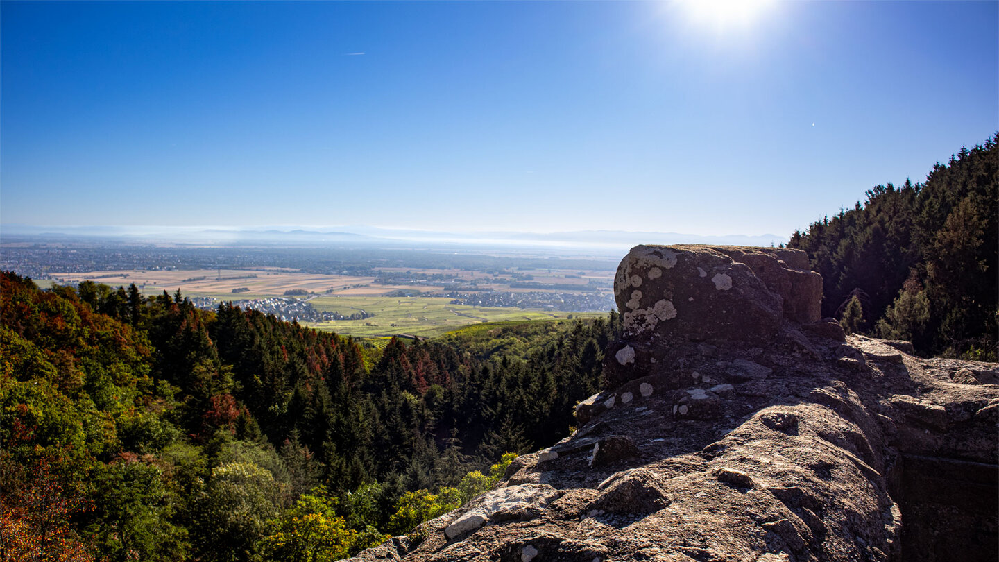 Aussicht vom Château du Hagueneck über Wald, Weinberge und Rheinebene im Elsass