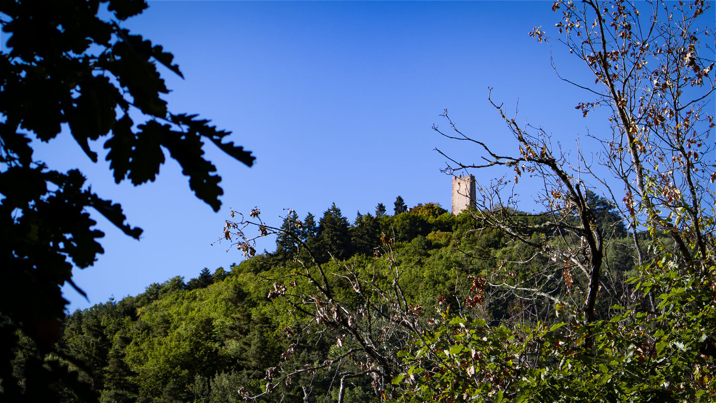 Turm der Drei Exen auf dem bewaldeten Schlossberg über Eguisheim, Blick durch Eichenlaub