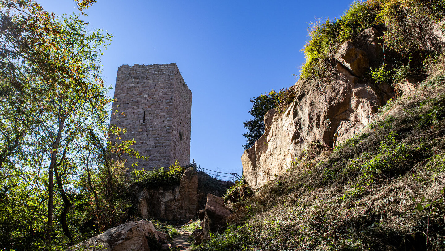 Pfad zum Turm der Les Trois Châteaux d’Eguisheim, rechts Felswand und Geländer