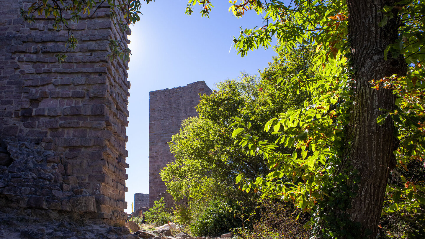 Blick zwischen Dagsbourg und Wahlenbourg auf Mauer und Turm der Drei Exen bei Eguisheim