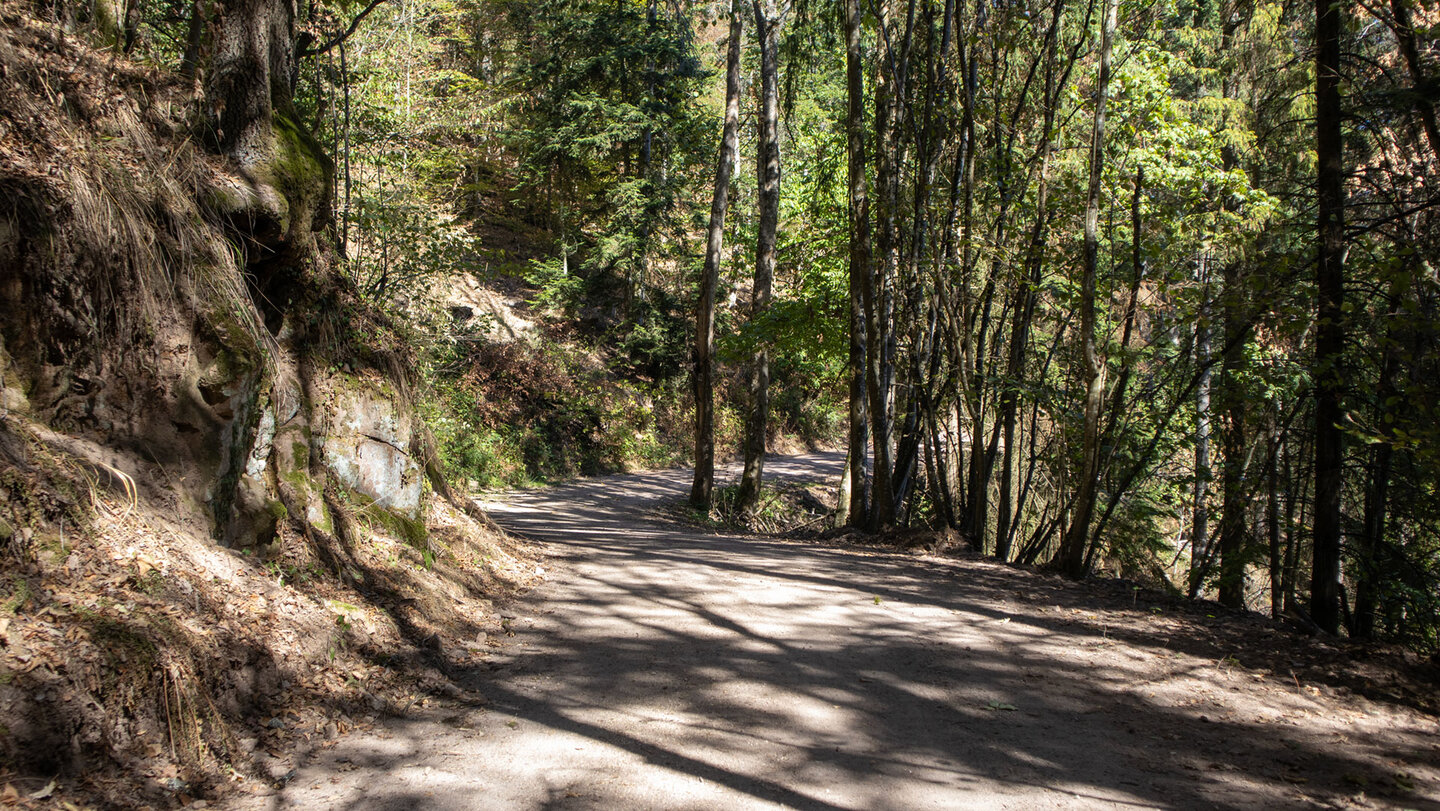 Eichhörnchenpfad (Sentier de l’Écureuil) durch lichten Mischwald im Haut-Rhin, Elsass
