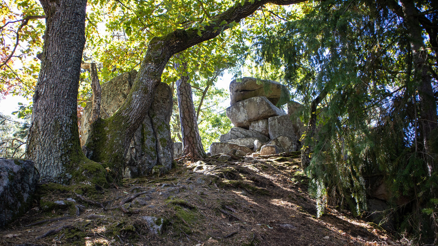 Aufgetürmte Felsblöcke unter Eichen am Rocher Turenne im Burgengebiet des Elsass