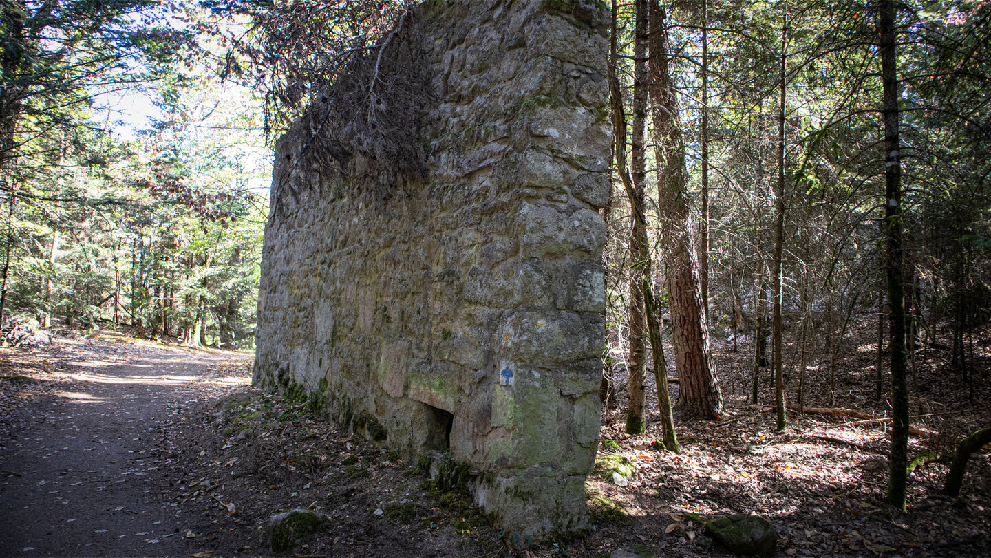 Am Weg zwischen Hagueneck und Étang Herzog erinnert die Mauer an frühere Nutzung des Waldes