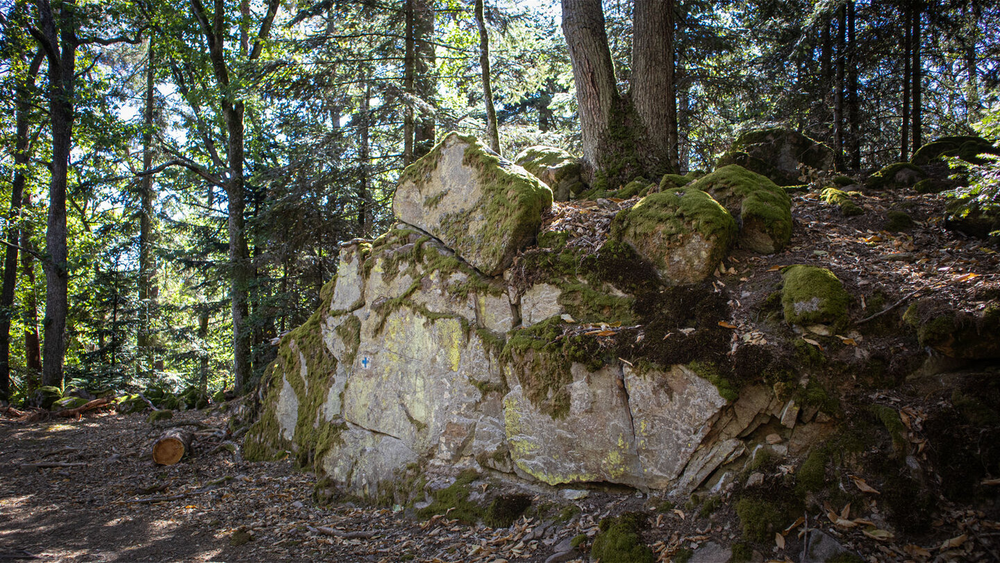 Felsformation am Sentier Herzog im Wald oberhalb von Wettolsheim, Haut-Rhin