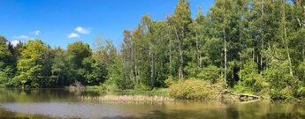 Heinzemanntour am Mehlbacher Teich