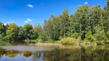 Heinzemanntour am Mehlbacher Teich