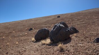 Huevos del Teide am Wegesrand des Wanderweg 7