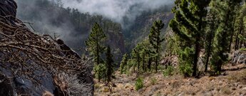 Ausblick in tiefe Schluchten entlang des Wanderwegs