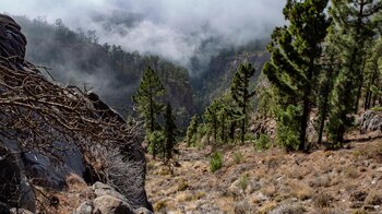 Ausblick in tiefe Schluchten entlang des Wanderwegs