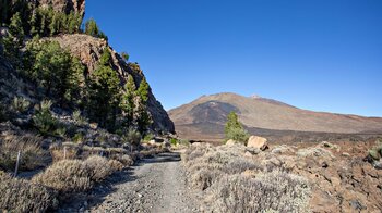 Blick zum Ausgangspunkt der Wanderung bei den Narices del Teide