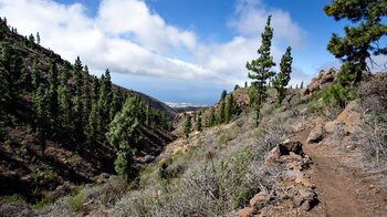 Blick vom Wanderweg übers Barranco Tamuja zum Ozean