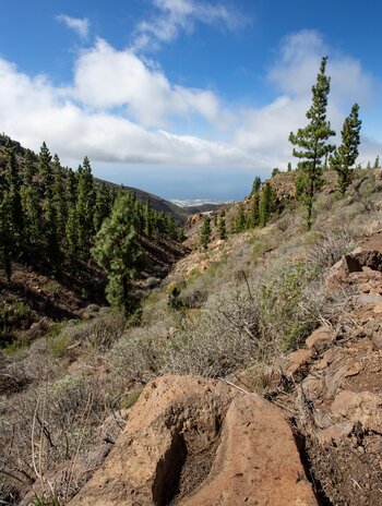 Blick übers Barranco Tamuja zur Südküste Teneriffas