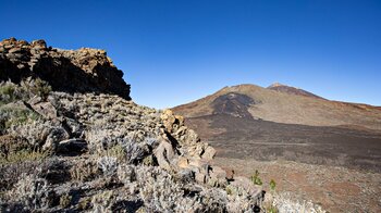 Blick vom Moñtana del Cedro auf Pico Viejo mit Narices del Teide und dem Pico del Teide