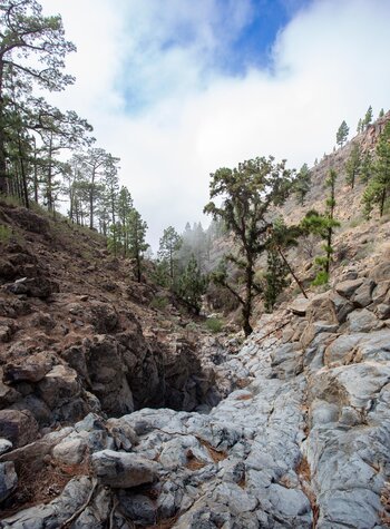 Blick in die der Schlucht Barranco de Tágara de Guía