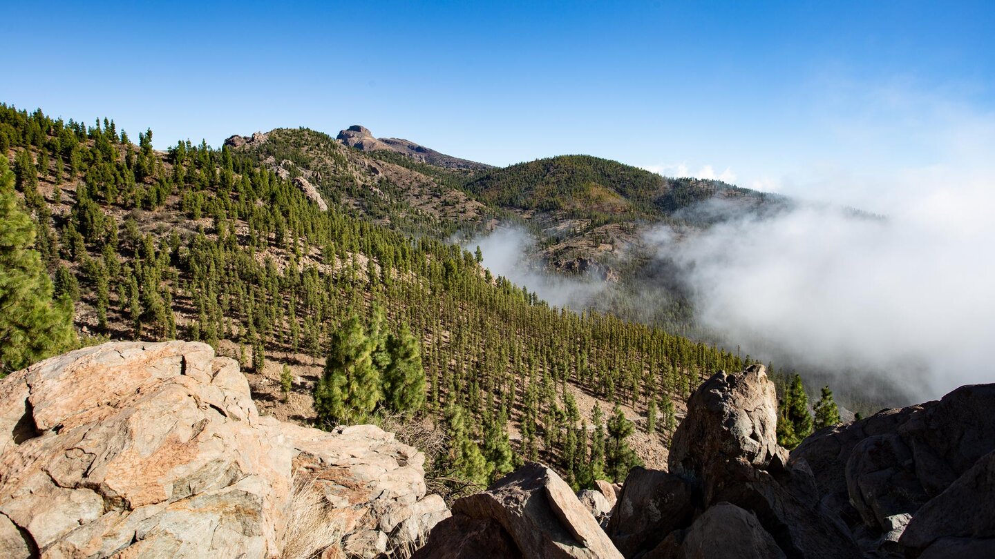erste Ausblicke auf die Caldera Randberge über die Kiefernwald Ausblicke auf die Caldera Randberge über die Kiefernwald