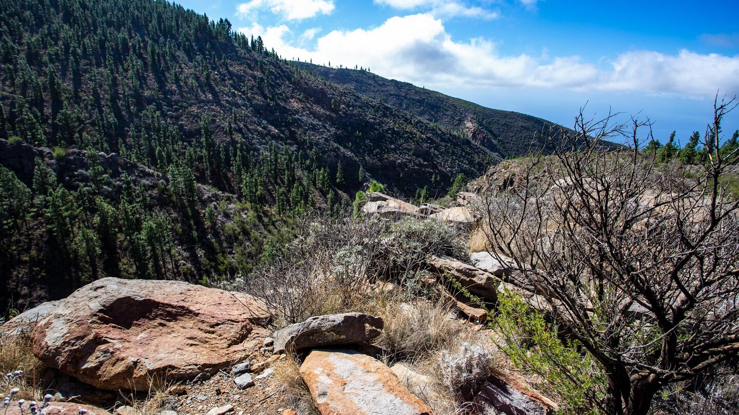 Felsformationen entlang einer Schlucht oberhalb der Südküste Teneriffas