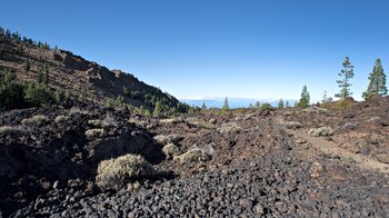 Wanderung startet in den Lavafeldern des Teide-Nationalpark
