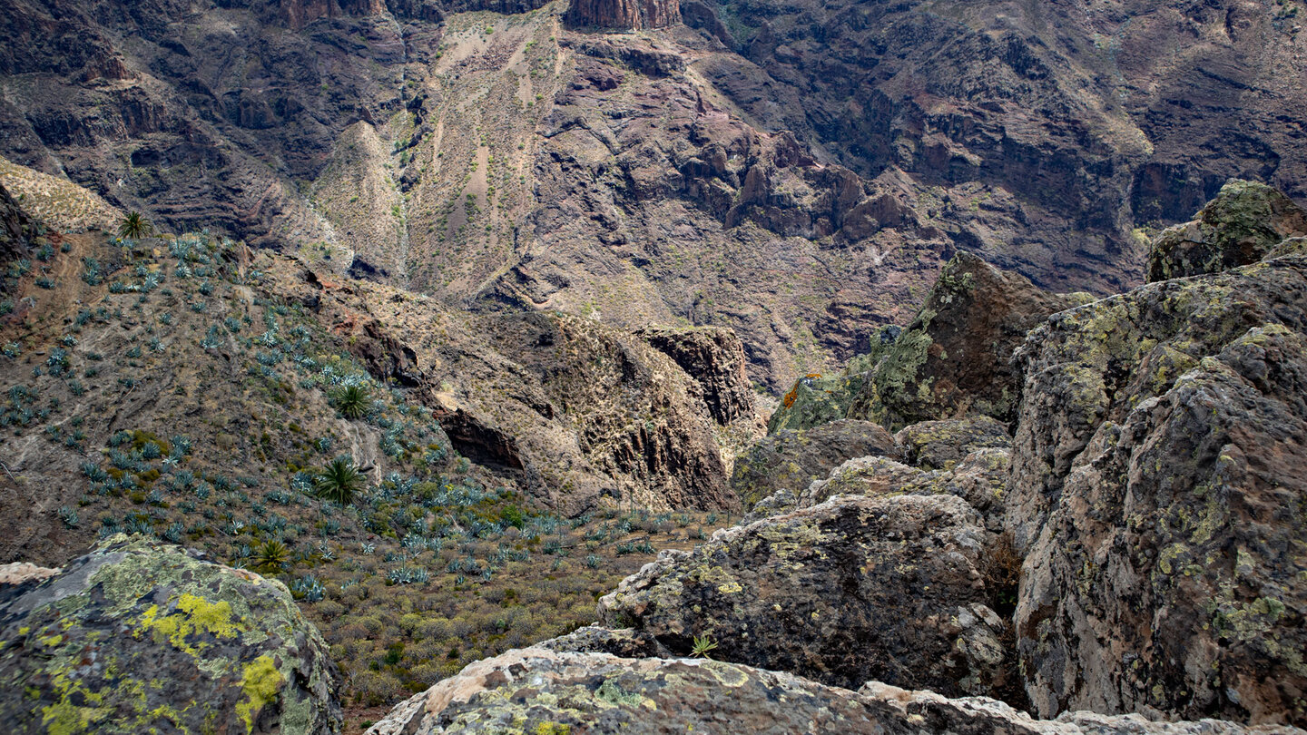 Blick in die zerklüftete Schlucht Barranco de Juan de Vera