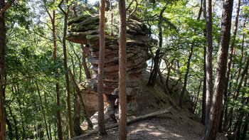 Schlank erhebt sich der Buntsandsteinturm am Nonnenfels aus dem Wald.
