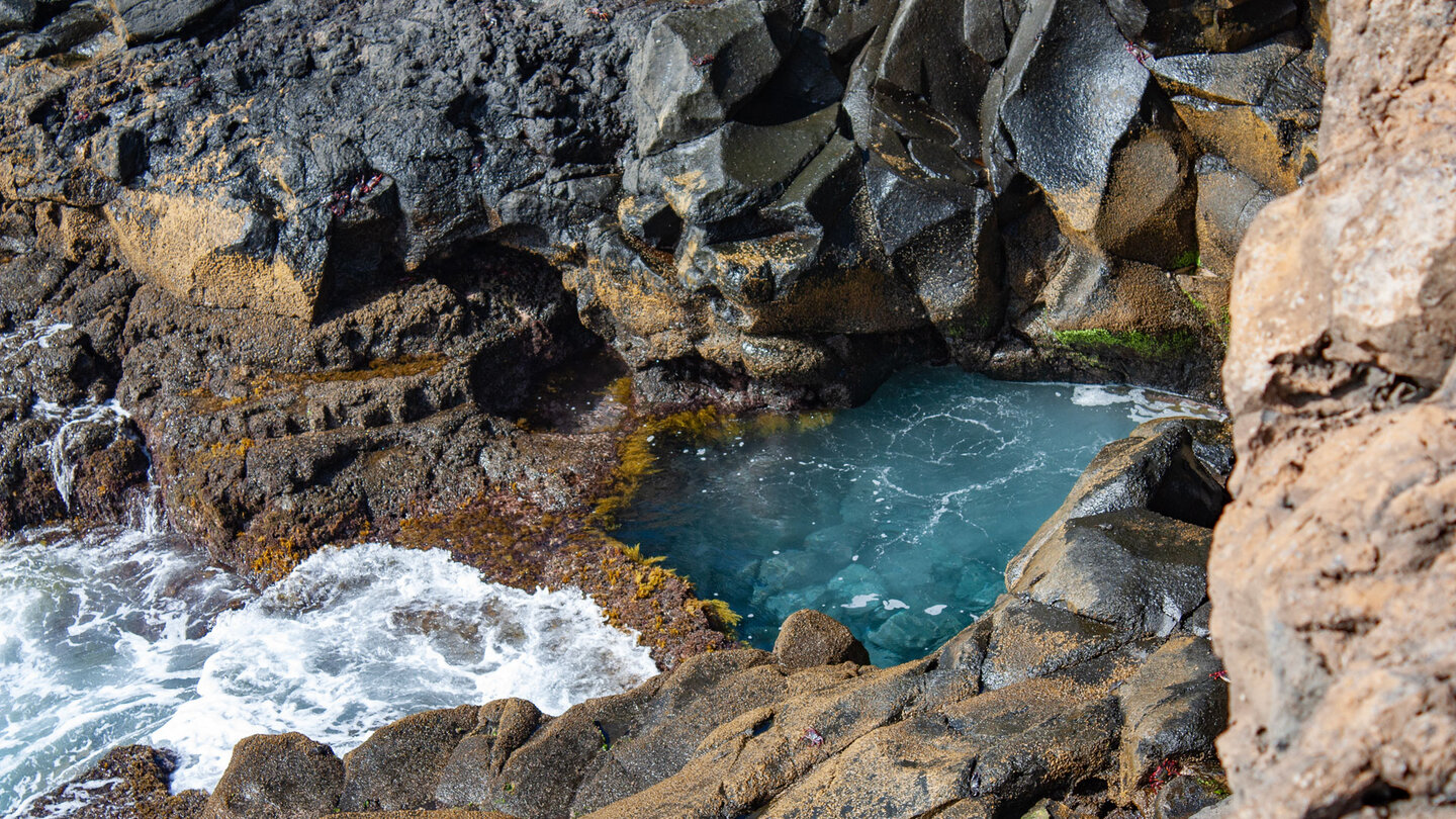 die raue Lavaküste an der Punta de Teno