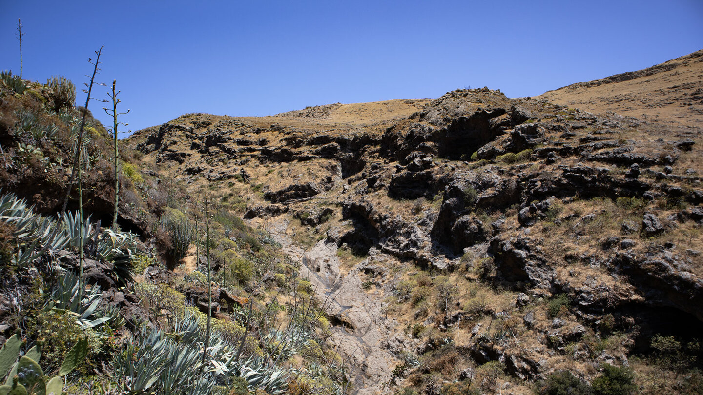 der Wanderweg verläuft neben der Schlucht Barranco de las Cuevas