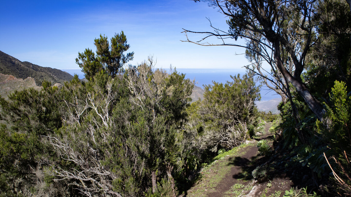 Aufwanderung zur Cumbre de Bolico